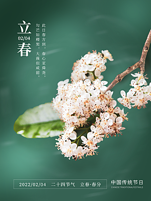 中国传统二十四节气立春节气宣传海报