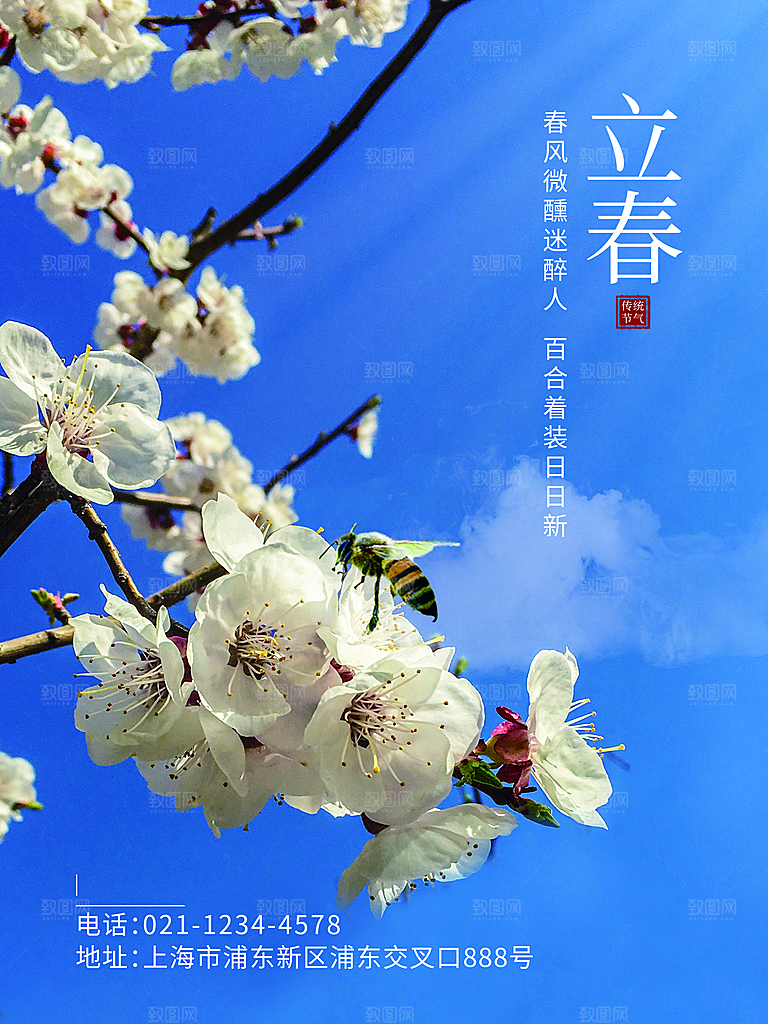 中国传统二十四节气立春节气宣传海报