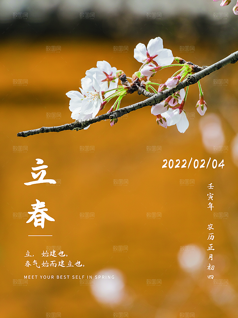 中国传统二十四节气立春节气宣传海报