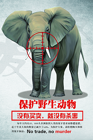高端保护野生动物宣传海报