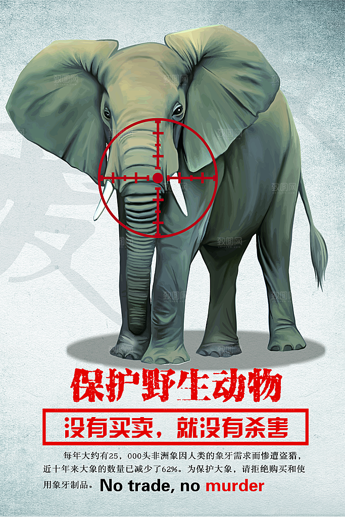 高端保护野生动物宣传海报