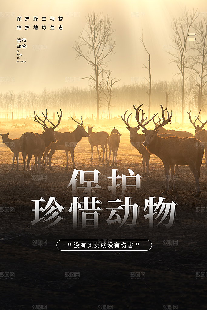 时尚保护野生动物宣传海报