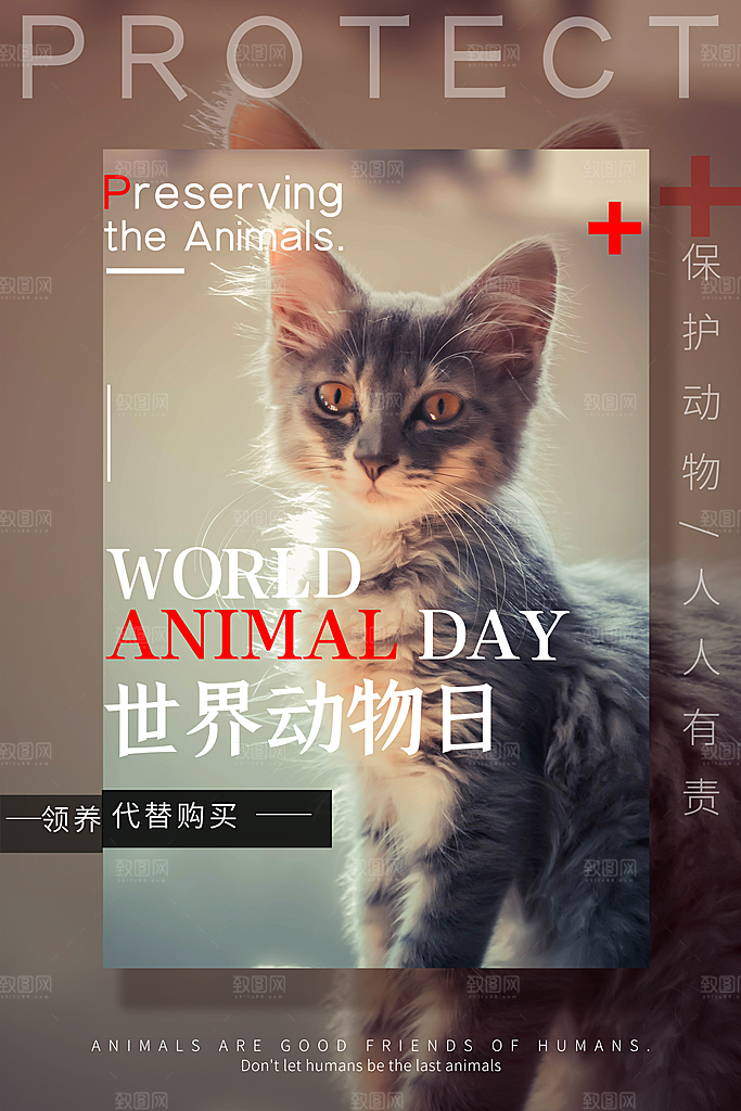 时尚保护野生动物宣传海报