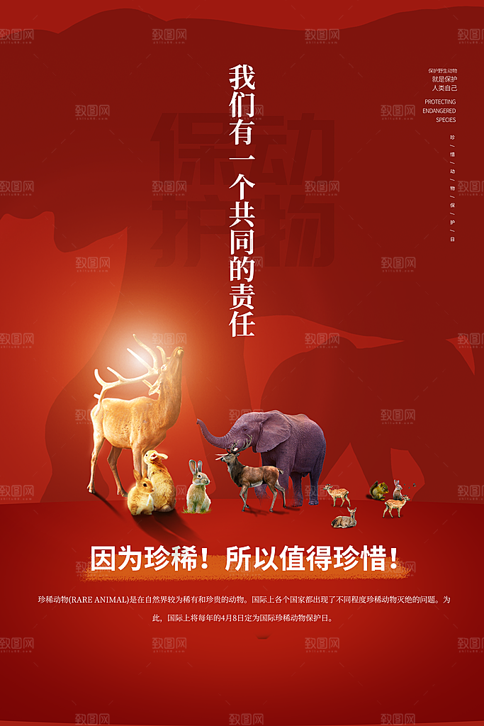 时尚保护野生动物宣传海报
