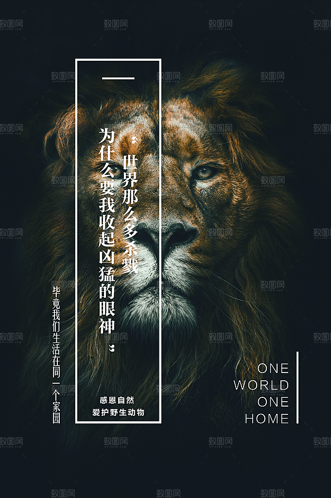 时尚保护野生动物宣传海报