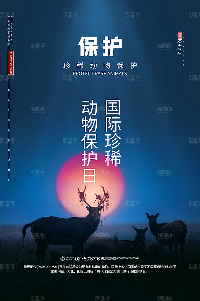 保护野生动物宣传海报
