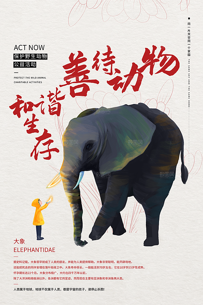 保护野生动物宣传海报