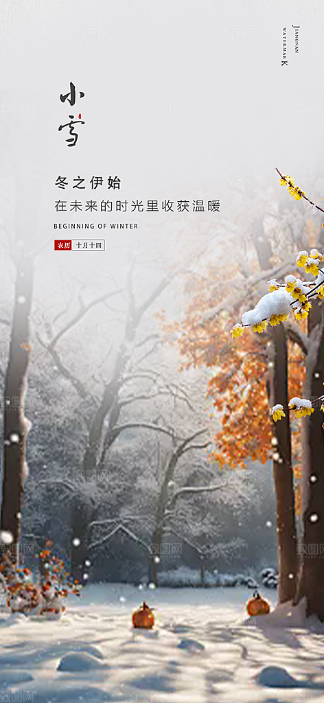 节气小雪冬天宣传活动海报
