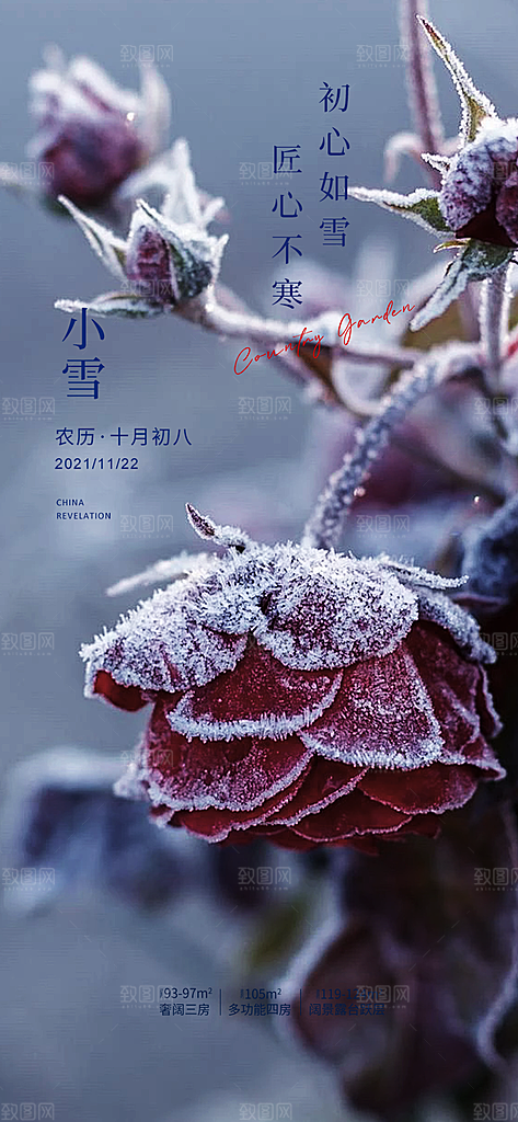 二十四节气小雪冬天宣传活动海报