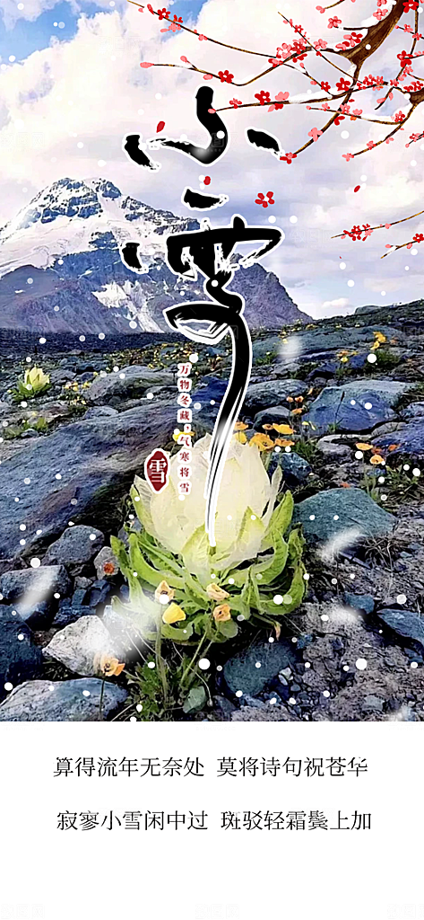 小雪冬天宣传活动海报