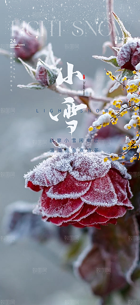 小雪冬天宣传活动海报