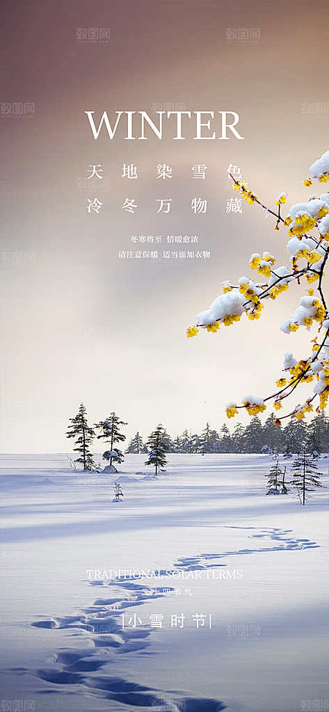 二十四节气小雪冬天宣传活动海报