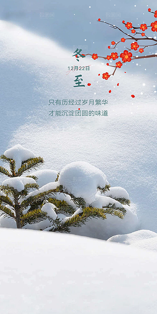 二十四节气冬至宣传活动海报