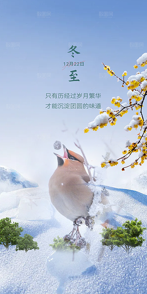 二十四节气冬至宣传活动海报