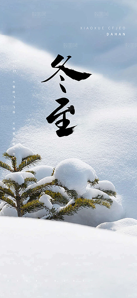 传统二十四节气冬至宣传活动海报