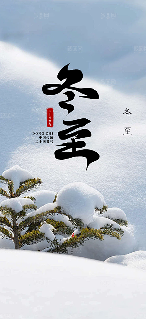 二十四节气冬至宣传活动海报