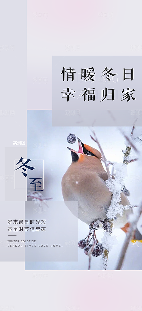 传统二十四节气冬至宣传活动海报