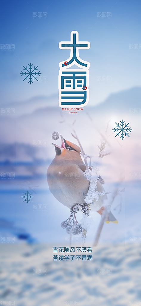 二十四节气大雪宣传活动海报