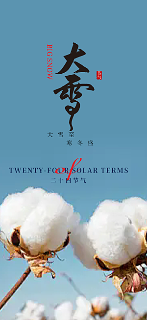 传统二十四节气大雪宣传活动海报