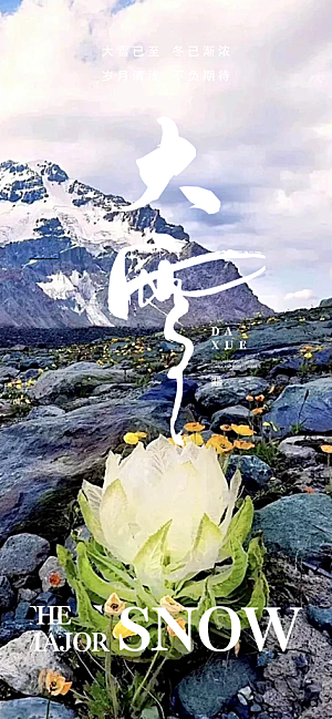 传统二十四节气大雪宣传活动海报