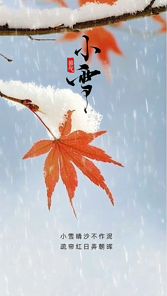 小雪简约大气节日唯美节气创意海报