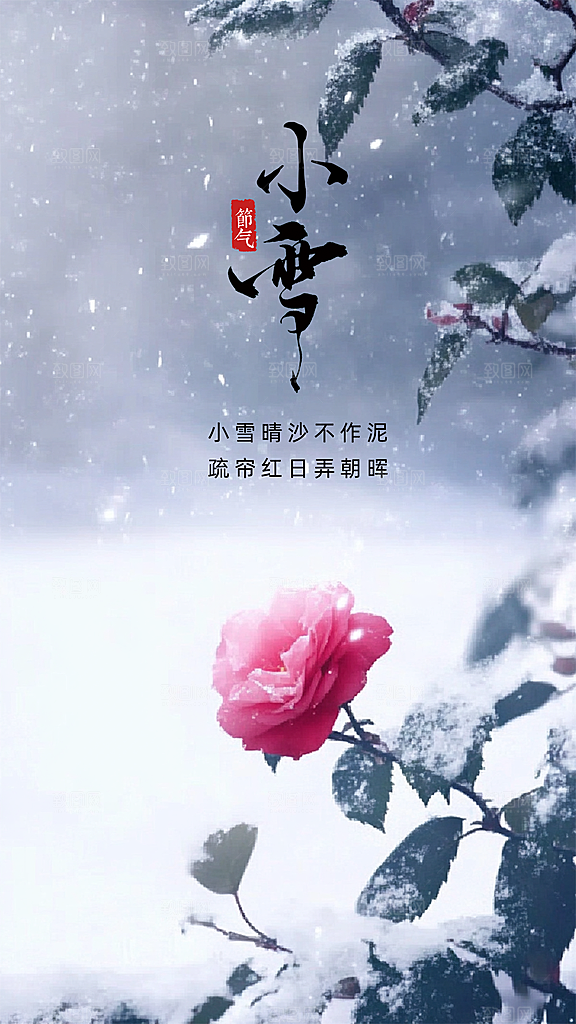 小雪简约大气节日唯美节气创意海报