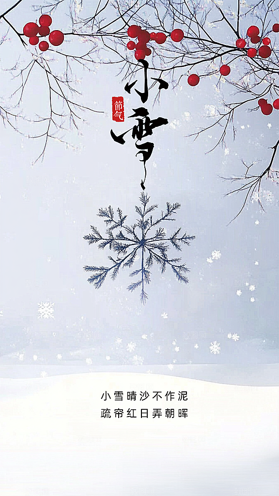 小雪简约大气节日唯美节气创意海报