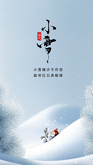 小雪大气简约节日节气创意唯美海报