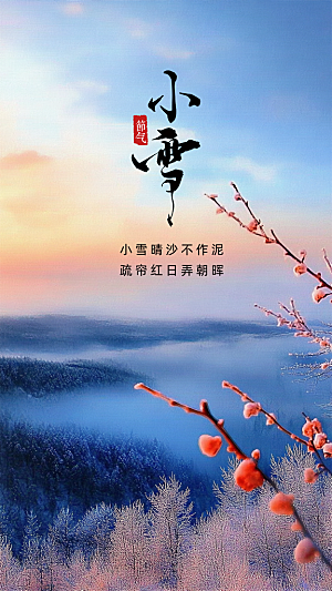 小雪大气简约节日节气创意唯美海报