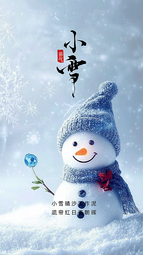 小雪大气简约节日节气创意唯美海报
