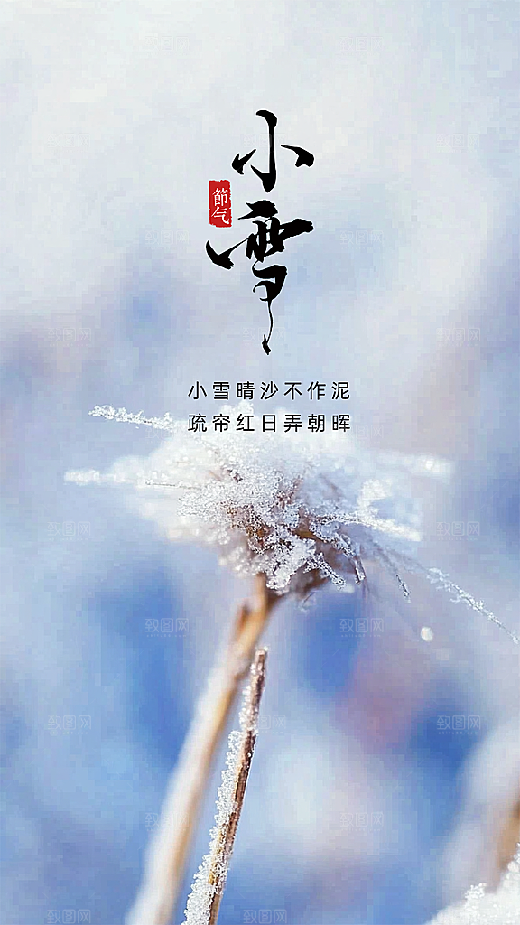 小雪大气简约节日节气创意唯美海报