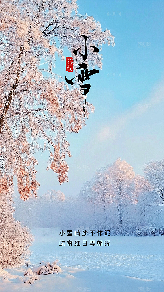 小雪简约节日创意节气唯美大气海报