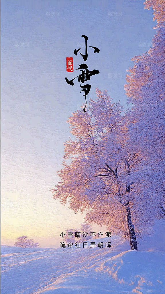 小雪创意节日唯美节气简约大气海报