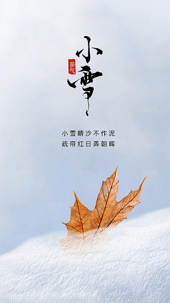 小雪大气简约唯美节气创意节日海报