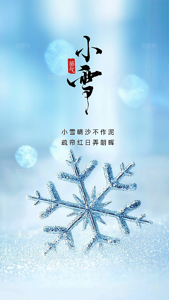 小雪大气简约唯美节气创意节日海报