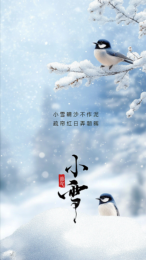 小雪大气简约唯美节气创意节日海报