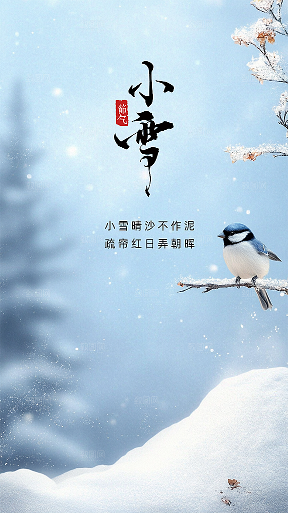 小雪大气节气创意节日唯美简约海报