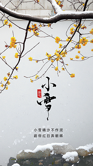 小雪大气节气创意节日唯美简约海报