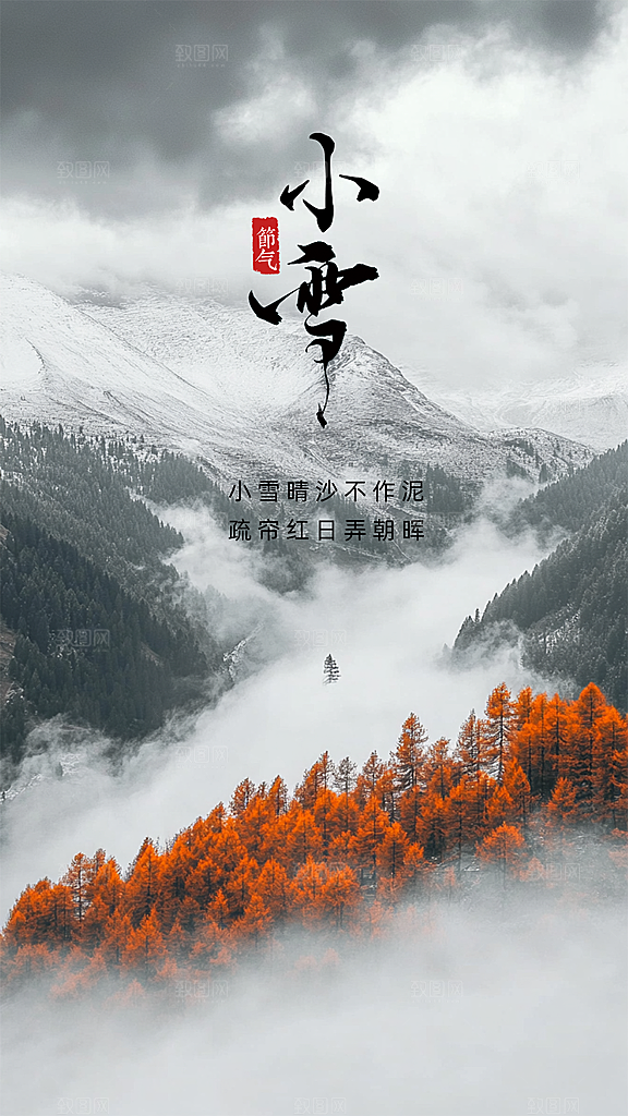 小雪大气简约唯美创意节日节气海报