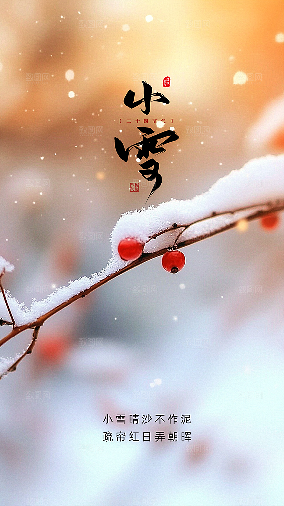 小雪大气简约唯美创意节日节气海报