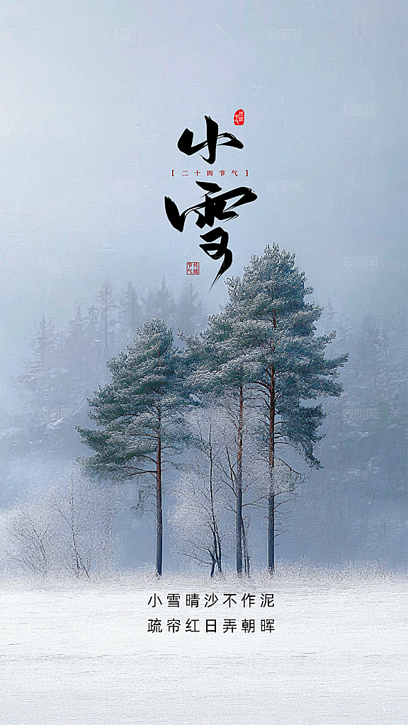 小雪大气简约唯美创意节日节气海报