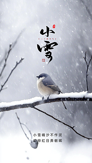 小雪简约节日创意大气节气唯美海报