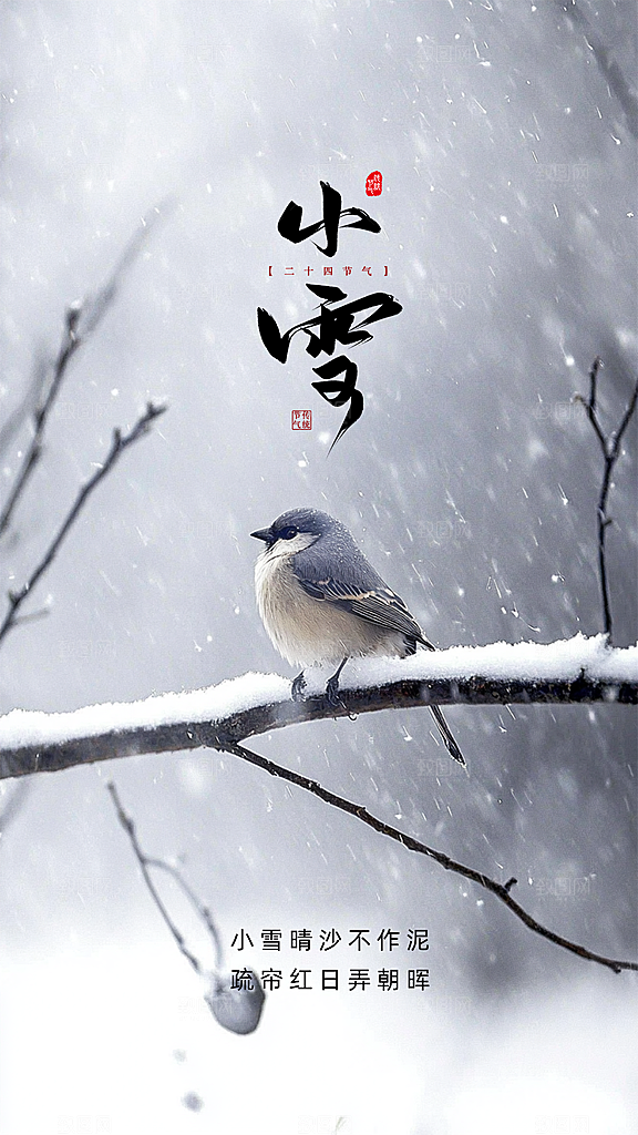 小雪简约节日创意大气节气唯美海报