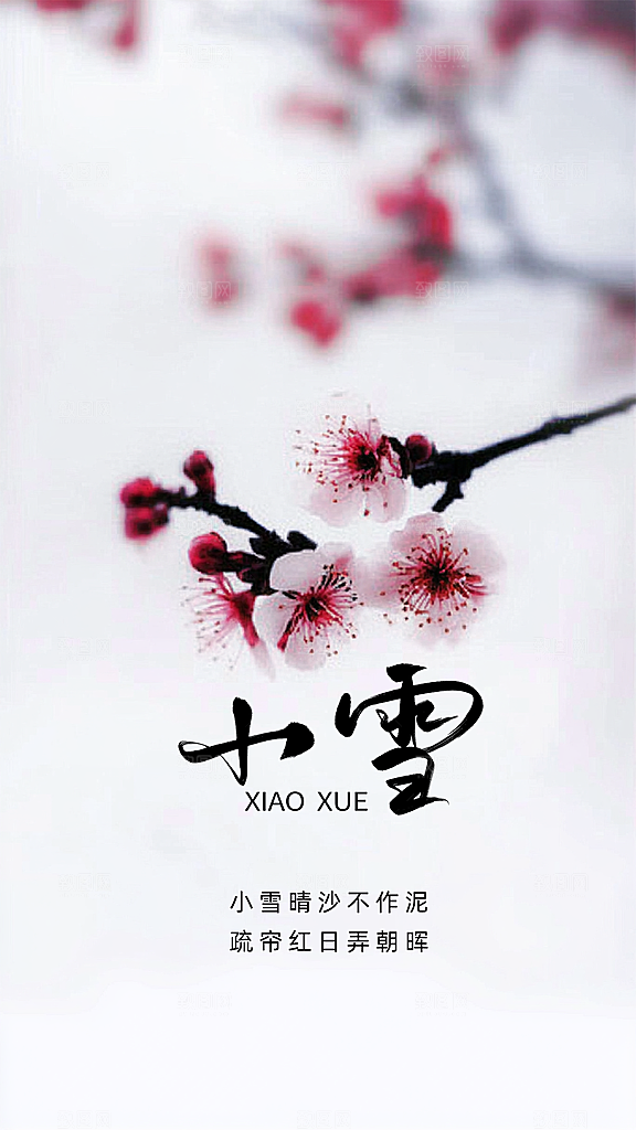 小雪创意节气简约唯美大气节日海报