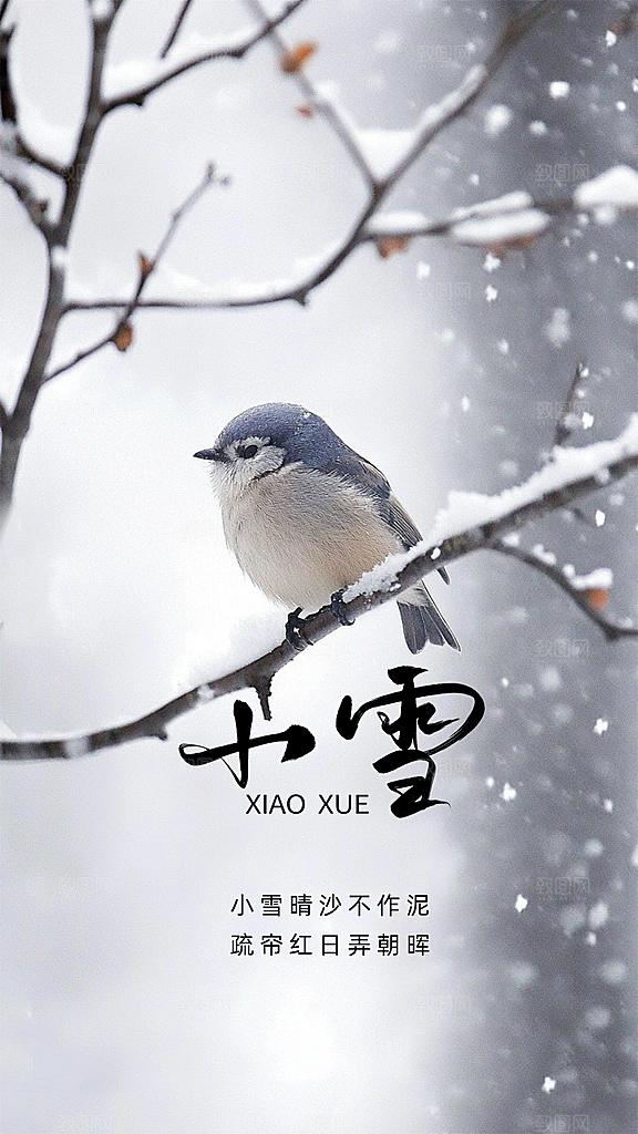 小雪创意节气简约唯美大气节日海报