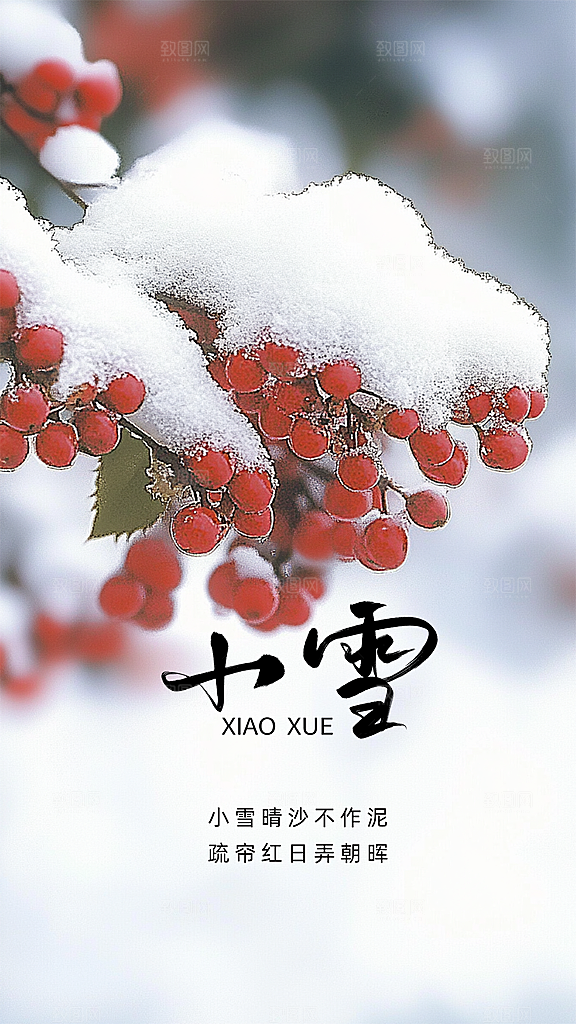 小雪创意节气简约唯美大气节日海报