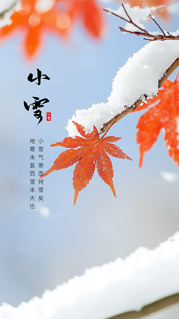 小雪创意唯美节气简约大气节日海报