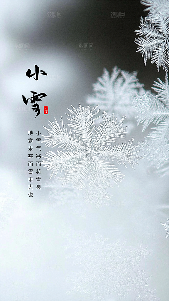 小雪创意唯美节气简约大气节日海报