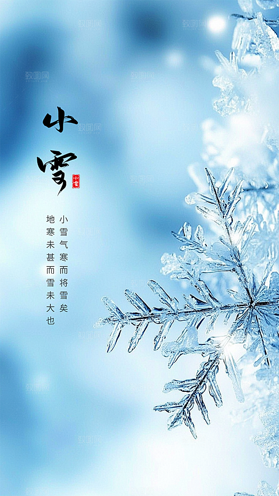 小雪创意唯美节气简约大气节日海报