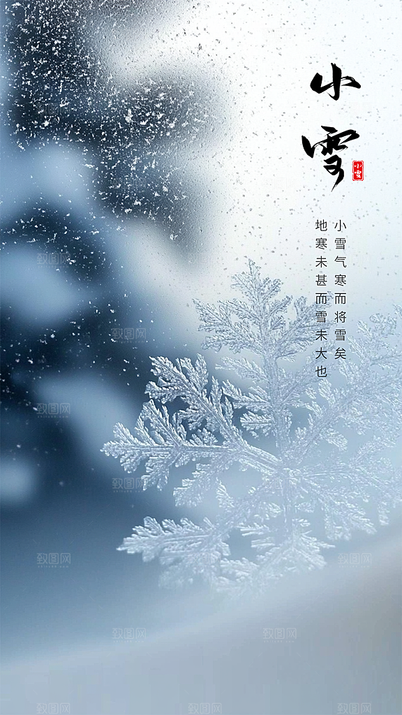 小雪创意唯美节气简约大气节日海报